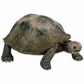 Schleich North America Figurine Giant Tortoise 14601